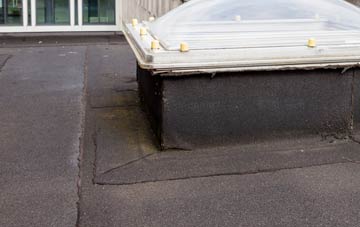 disadvantages of Camlough flat roofs