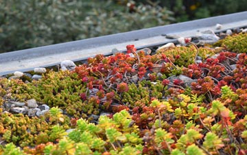 the cost of Camlough green roof installation