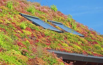 Camlough living roof systems