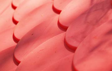 Camlough plastic roof costs