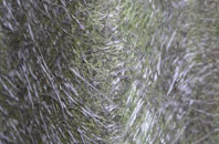 Camlough fibreglass roof work